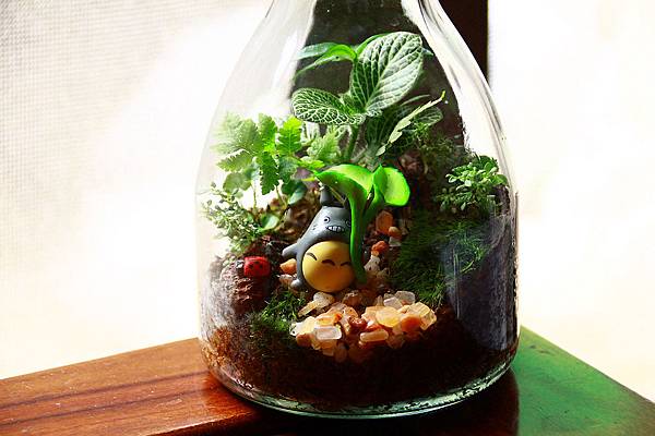 nEO_IMG_IMG_1715.jpg nEO_IMG_IMG_1715.jpg