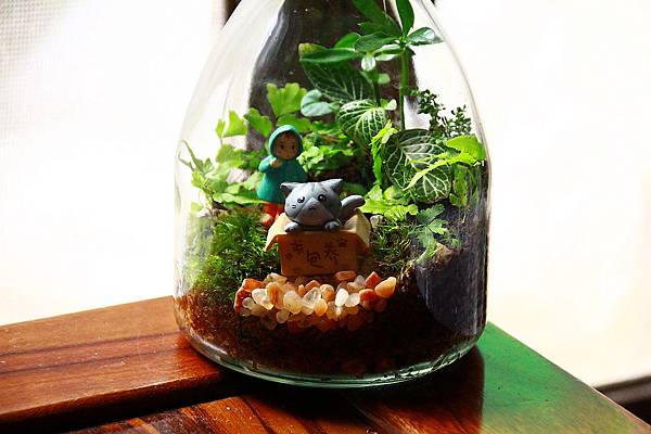 nEO_IMG_IMG_1719.jpg nEO_IMG_IMG_1719.jpg