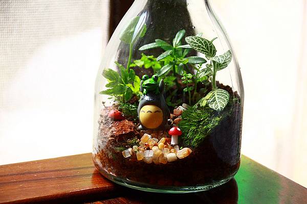 nEO_IMG_IMG_1722.jpg nEO_IMG_IMG_1722.jpg