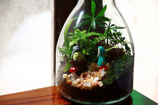 nEO_IMG_IMG_1734.jpg nEO_IMG_IMG_1734.jpg