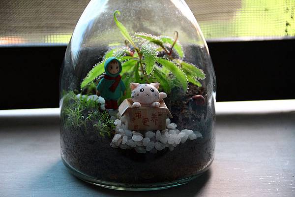 nEO_IMG_IMG_3366.jpg nEO_IMG_IMG_3366.jpg