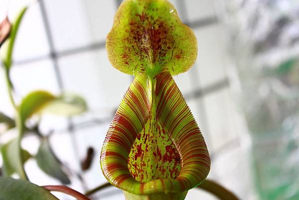 IMG_149301.jpg IMG_149301.jpg