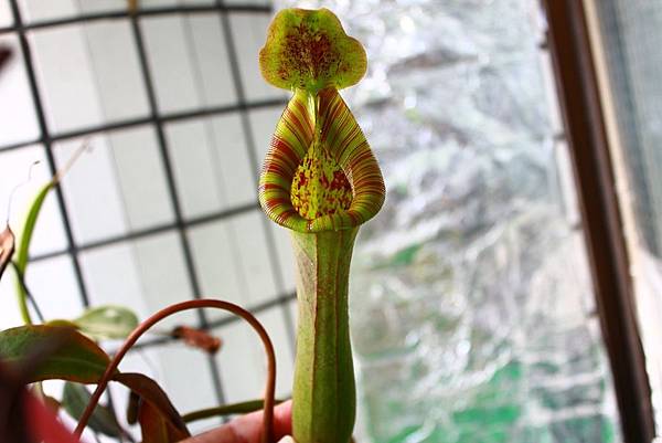 IMG_149402.jpg IMG_149402.jpg