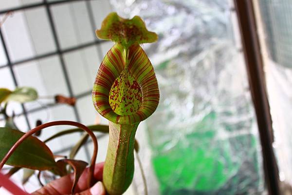 IMG_149503.jpg IMG_149503.jpg