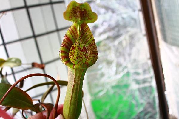 IMG_149604.jpg IMG_149604.jpg