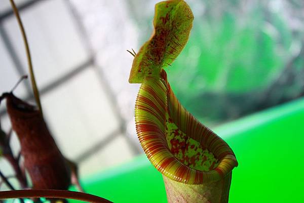 IMG_149705.jpg IMG_149705.jpg