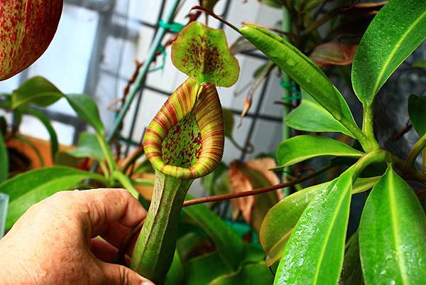 IMG_308106.jpg IMG_308106.jpg