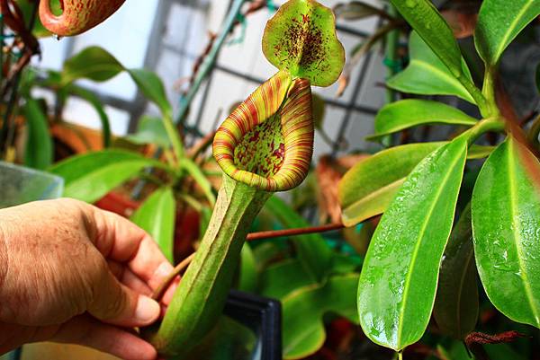 IMG_308408.jpg IMG_308408.jpg