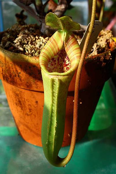 IMG_410109.jpg IMG_410109.jpg