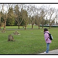 20110202- Stanyle Park.jpg