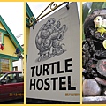 20101225-Turtle Hostel