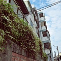 Tainan 1016-58.jpg