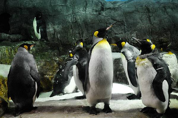 2013 日本自由行-7