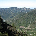 070120_谷關七雄老五_東卯山 090.jpg