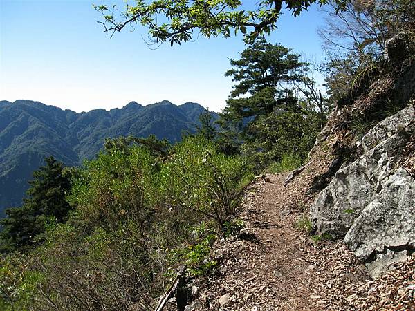 070120_谷關七雄老五_東卯山 106.jpg