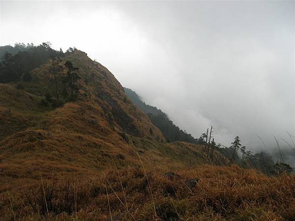 雪山踏雪行 080.jpg