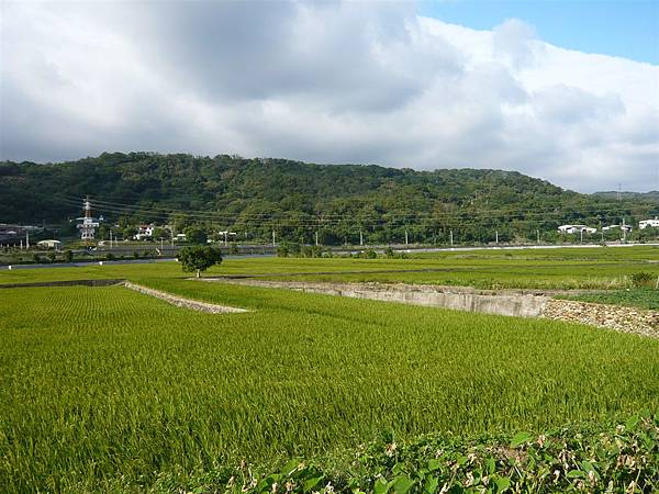 桃20沿路風光