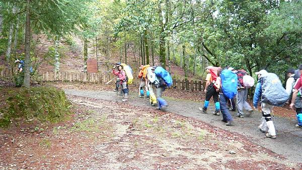 踢4K的林道往登山口