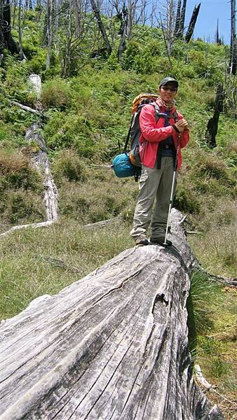 DSCF3732.JPG