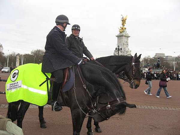IMG_3470 IMG_3470