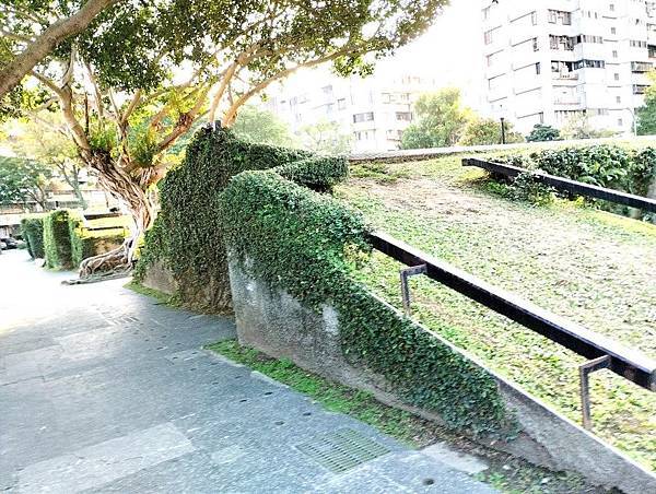 健康家:晶亮界-金花素方囊 素食者也能吃的 健康家:晶亮界-金花素方囊 素食者也能吃的