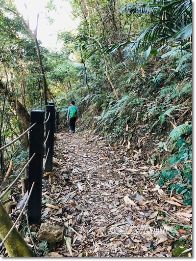 泰安步道-33.jpg