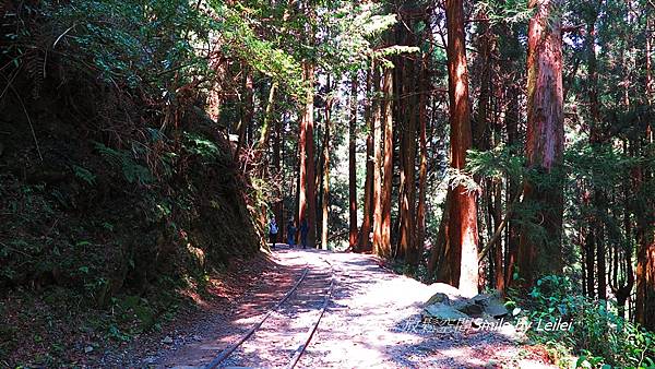 富特野5.JPG