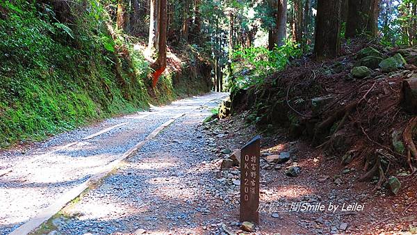 富特野8.JPG