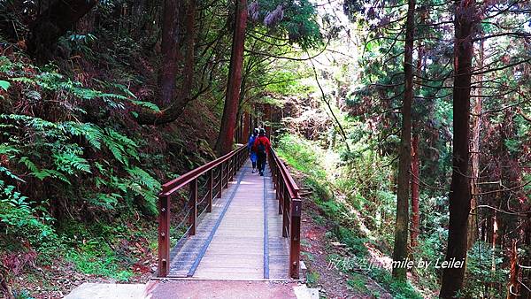 富特野12.JPG