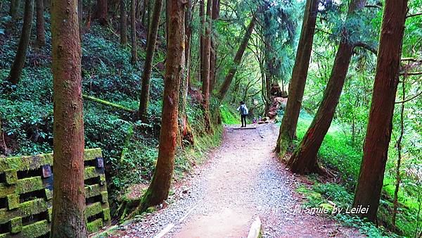 富特野20.JPG