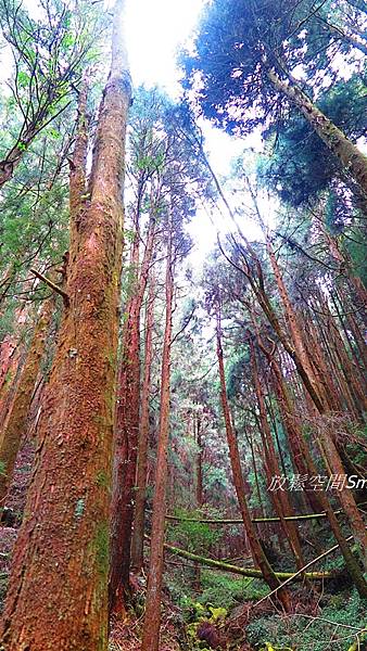 富特野21.JPG