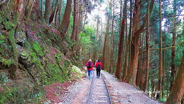 富特野36.JPG