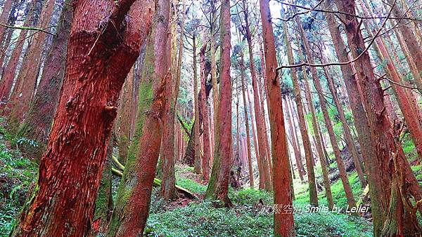 富特野40.JPG