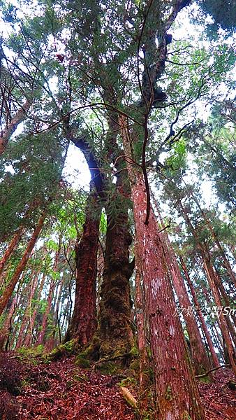 富特野50.JPG