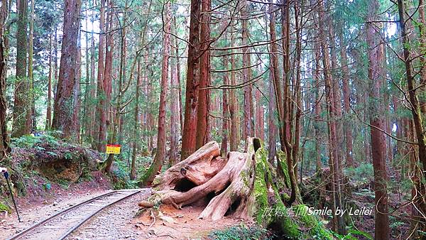 富特野56.JPG