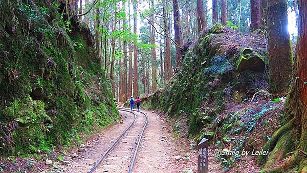 富特野66.JPG