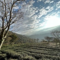 守城大山風景1.jpg