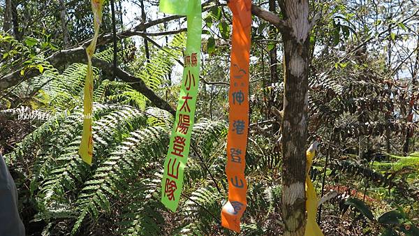 武界山連走獅凸魯山、橫屏山、橫屏山西峰原路來回橫屏山