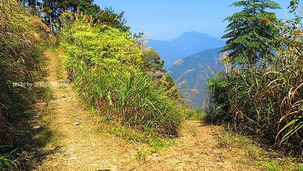 武界山連走獅凸魯山、橫屏山、橫屏山西峰原路來回橫屏山