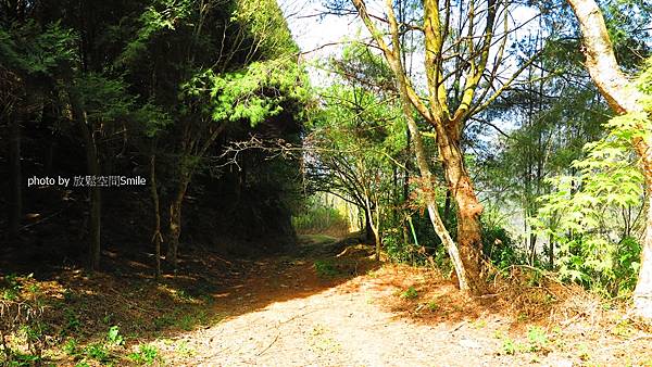 武界山連走獅凸魯山、橫屏山、橫屏山西峰原路來回橫屏山