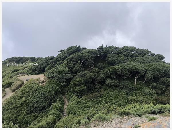 【南投】合歡東峰。視野遼闊卻不覺得好入手的百岳_合歡山二日健