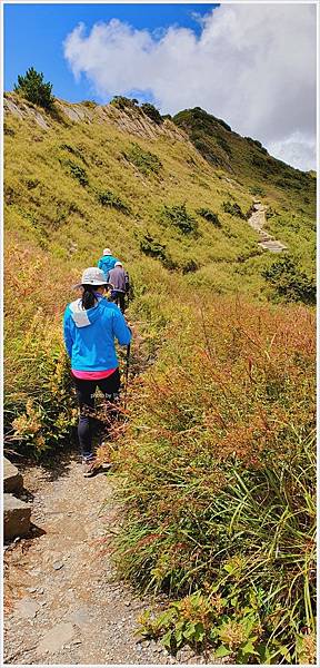 【南投】合歡山東峰+石門山+下午茶。Cona's 清境妮娜巧