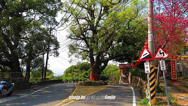 batch_雙樟亭3.jpg batch_雙樟亭3.jpg