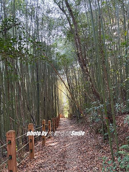 芝生毛台山(已上傳照片)