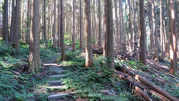 【嘉義】神阿縱走 【嘉義】神阿縱走