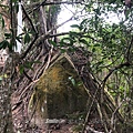 68.JPG