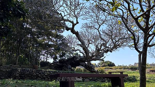 吳家古厝 (1).jpg