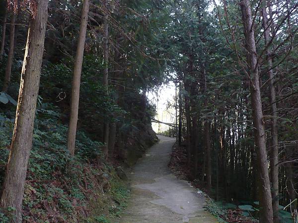 東河吊橋登山步道