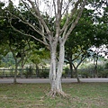 P1000833.JPG