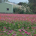 P1000847.jpg